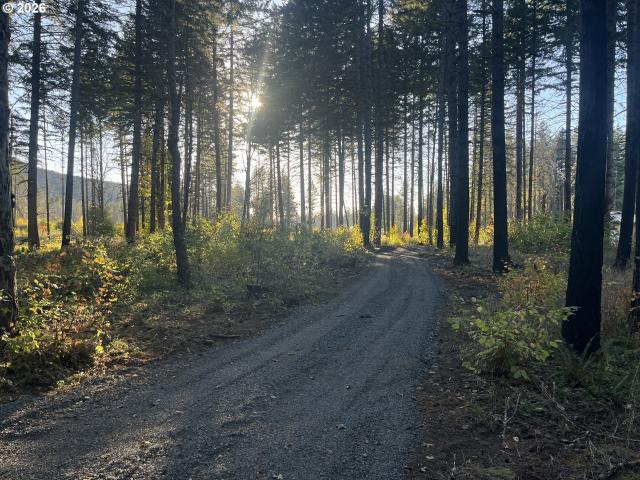 Land for sale in Lyons, Marion County