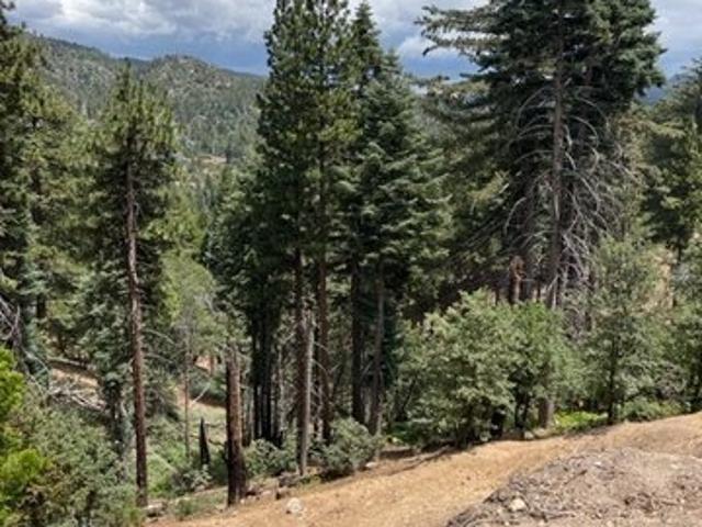 Land for sale in Green Valley Lake, California