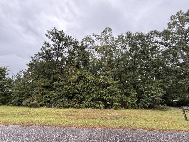 Land for sale in Abbeville, Henry County