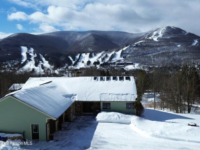 House for sale in East Jewett, New York