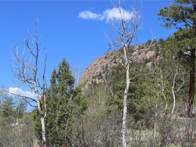 House for sale in Bailey, Colorado