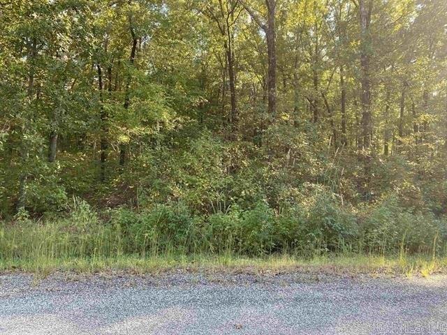 Land for sale in El Paso, White County