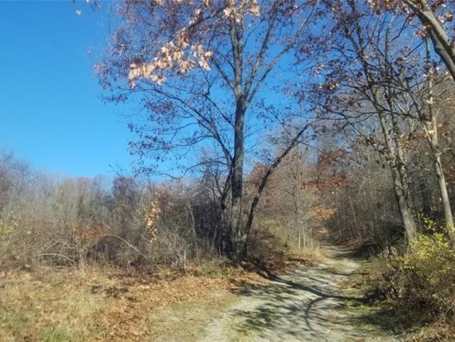 Land for sale in New York