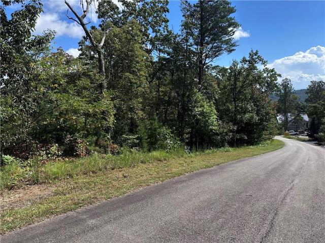 Land for sale in Gilmer, Georgia