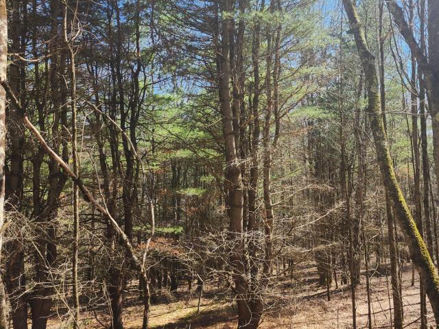 Land for sale in Chenango Bridge, New York