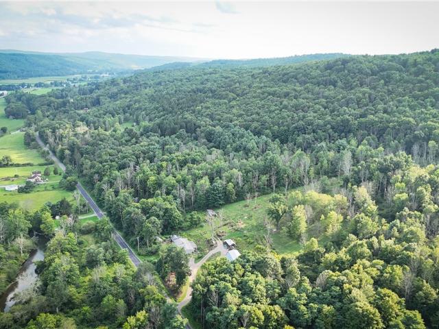 Land for sale in Candor, New York