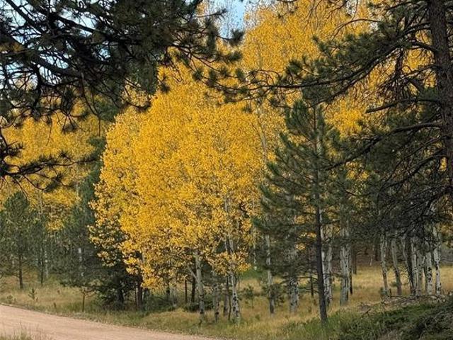 House for sale in Teller, Colorado