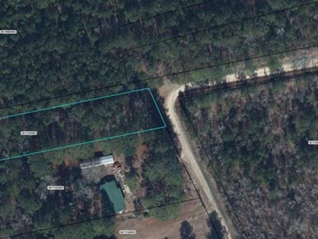 Land for sale in Olanta, South Carolina