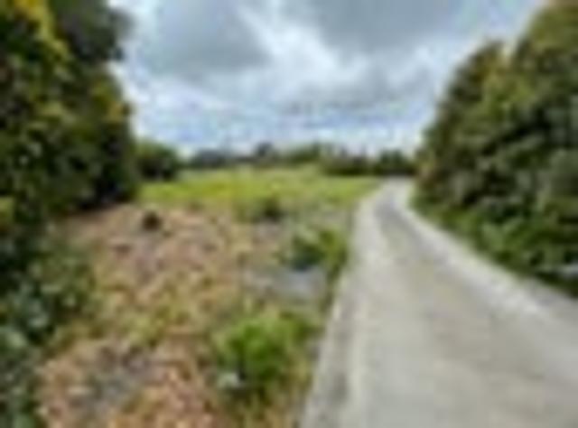 Land for sale in Whangarei, Northland