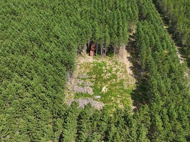 Land for sale in Tomahawk, Wisconsin