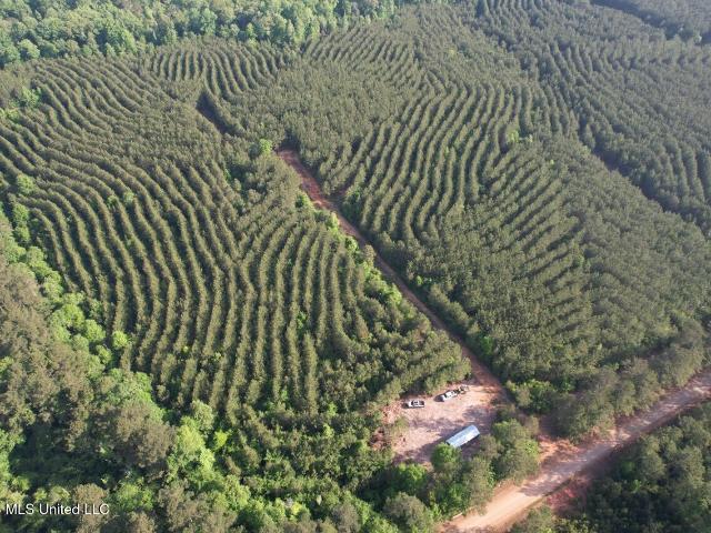 Land for sale in Saint Helena, Louisiana