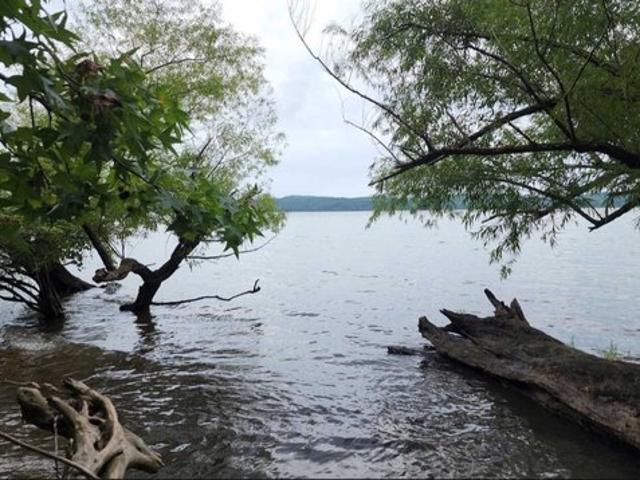 Land for sale in Tennessee
