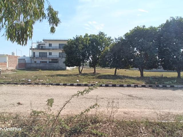 Land for sale in Mohari, Punjab