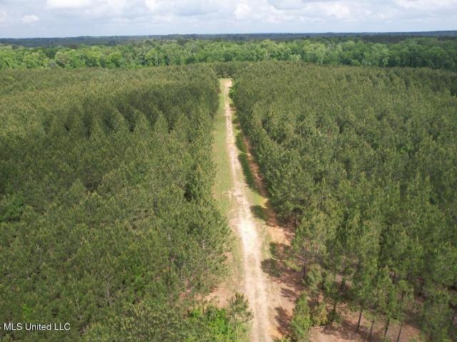 Land for sale in Saint Helena, Louisiana