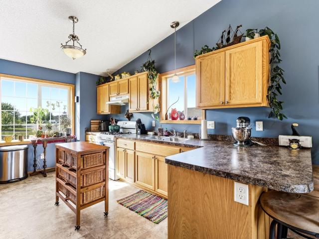 House for sale in Saint Francis, Anoka County