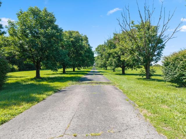 Farm for sale in Danville, Boyle County