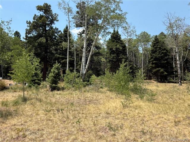House for sale in Fort Garland, Colorado