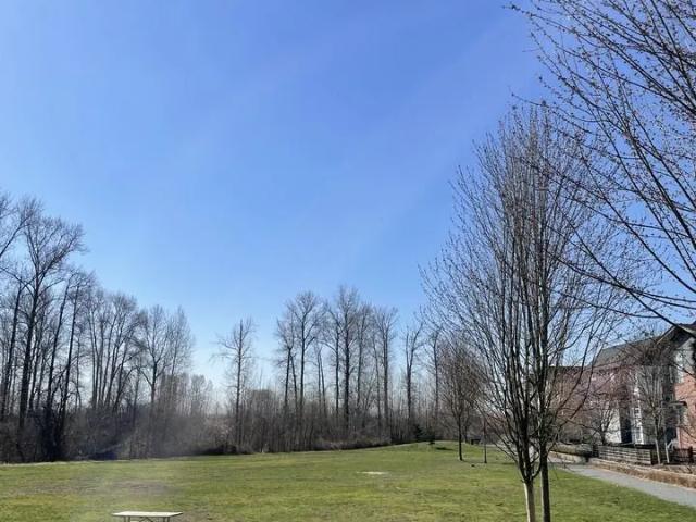 House for rent in Birchland Manor, Port Coquitlam