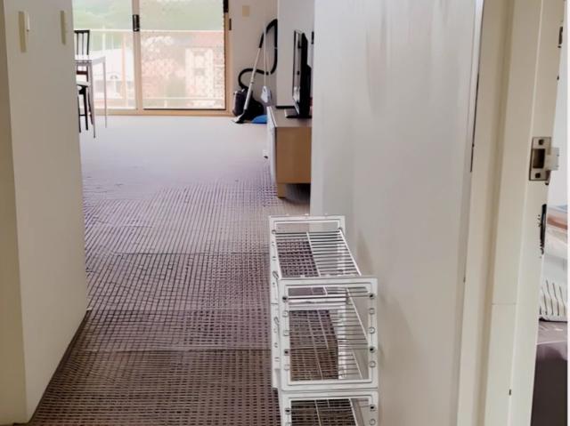 Apartment for rent in Sydney, New South Wales