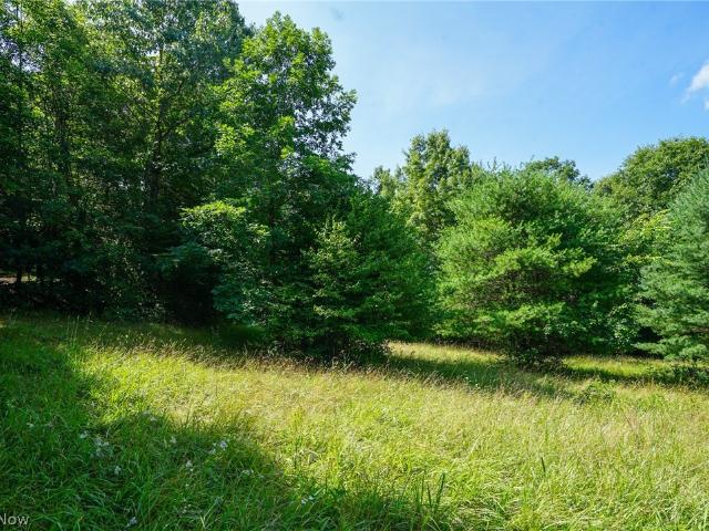 Land for sale in Philo, Ohio