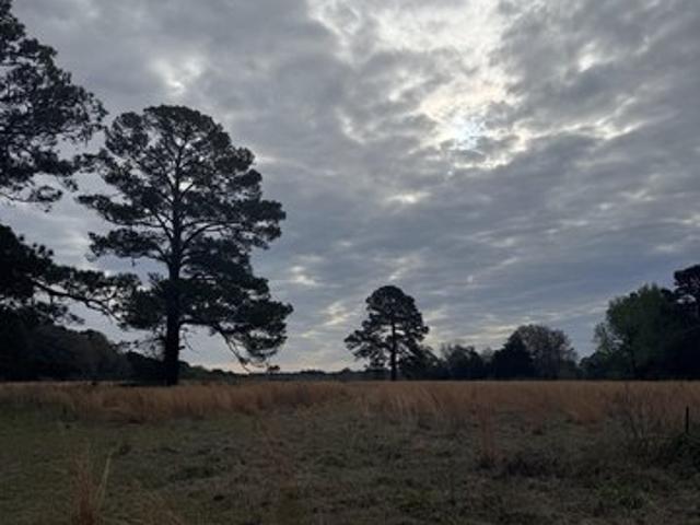 Farm for sale in Panola, Texas