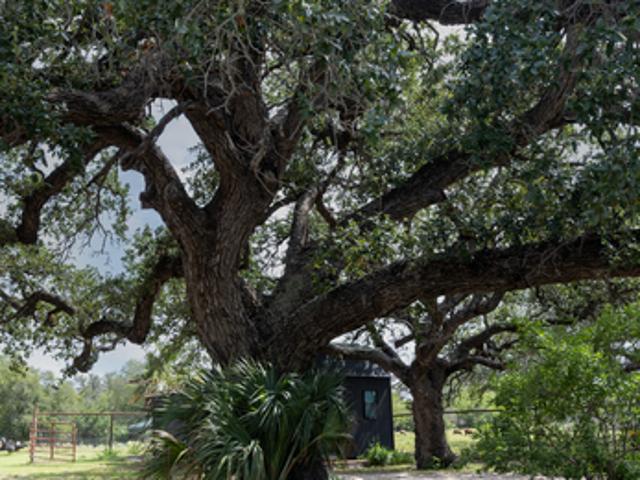House for sale in Medina, Texas
