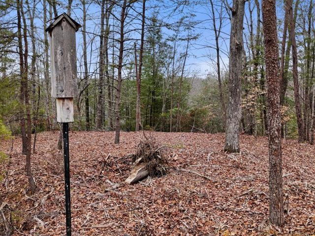 Land for sale in Zoe, Kentucky