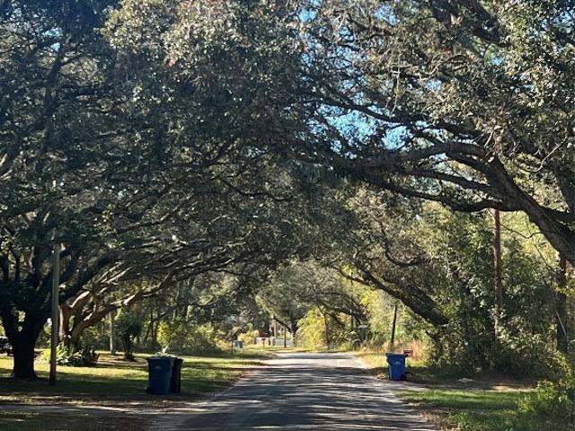 Land for sale in De Leon Springs, Florida