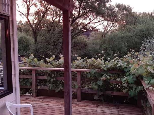 House for rent in Avondale, Oroua County