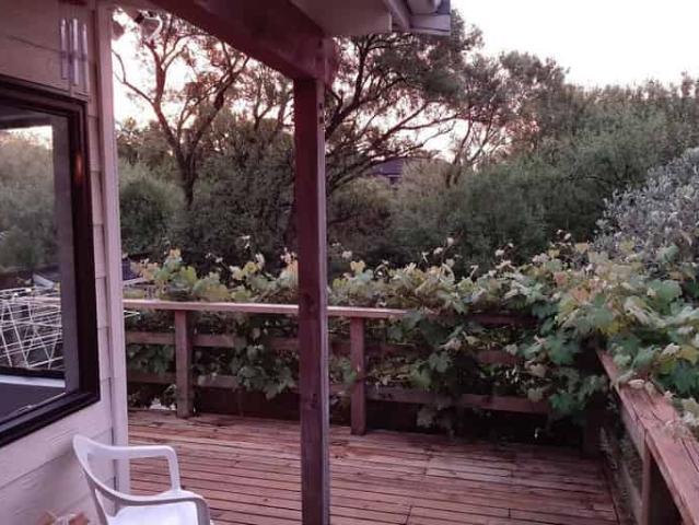 House for rent in Avondale, Oroua County