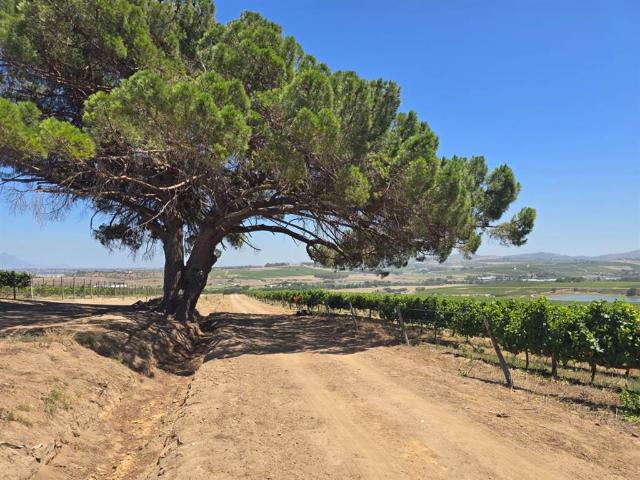 Farm for sale in Durbanville, Western Cape