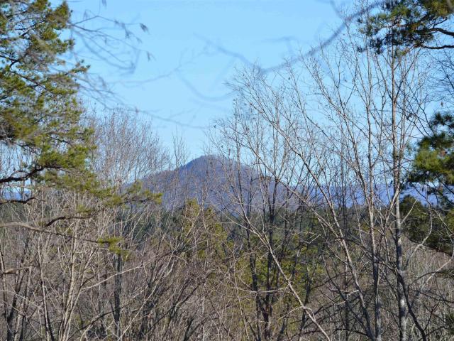 Land for sale in Six Mile Run, South Carolina