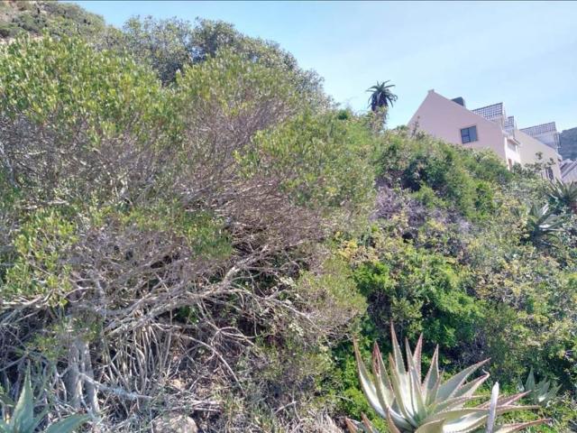 Land for sale in Groot Brak Rivier, Western Cape