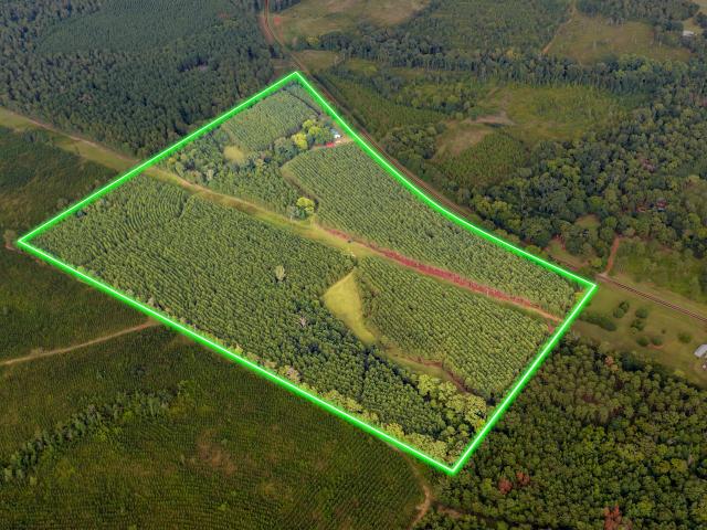 House for sale in Coleman, Georgia