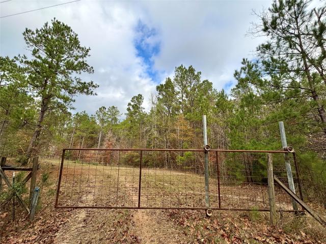 Farm for sale in Colmesneil, Texas