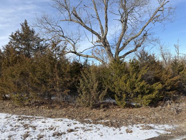 Land for sale in Forsyth, Missouri