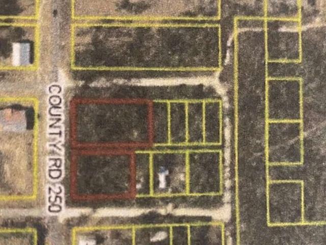 Land for sale in Suwannee, Florida