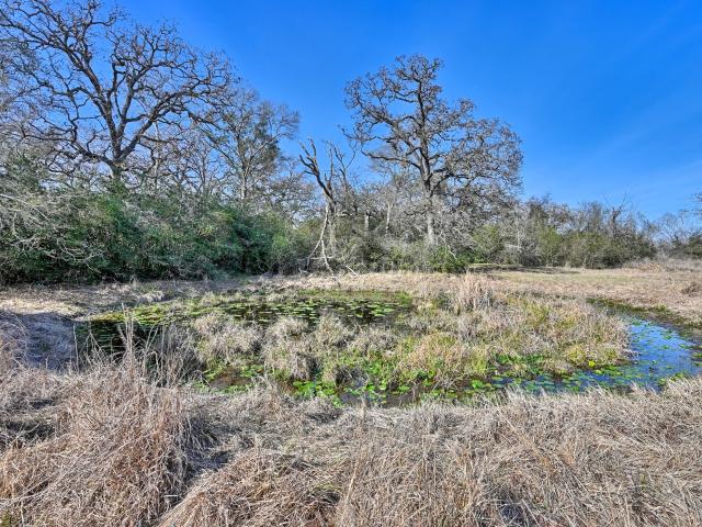 Farm for sale in Hempstead, Texas