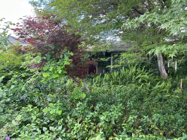House for sale in Kingsburg, California