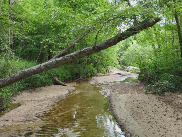 House for sale in Meadville, Mississippi