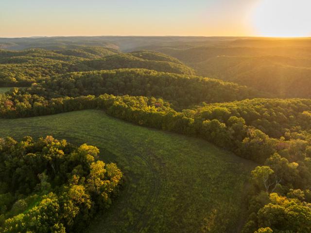 Land for sale in Cassville, Barry County
