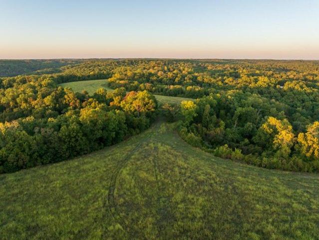 Land for sale in Cassville, Barry County
