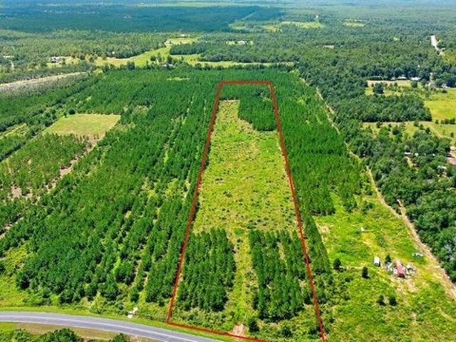 Land for sale in Altha, Florida