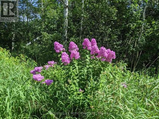 Land for sale in Springwater, Ontario