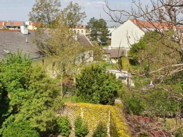 Apartment mieten in Laxenburg, Niederösterreich