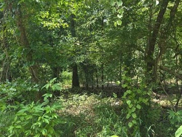 Land for sale in Orange, Orange County