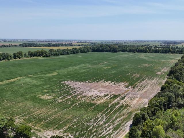 Land for sale in Ark