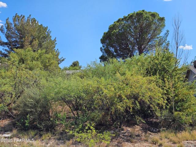 Land for sale in Cottonwood Land for sale in Cottonwood