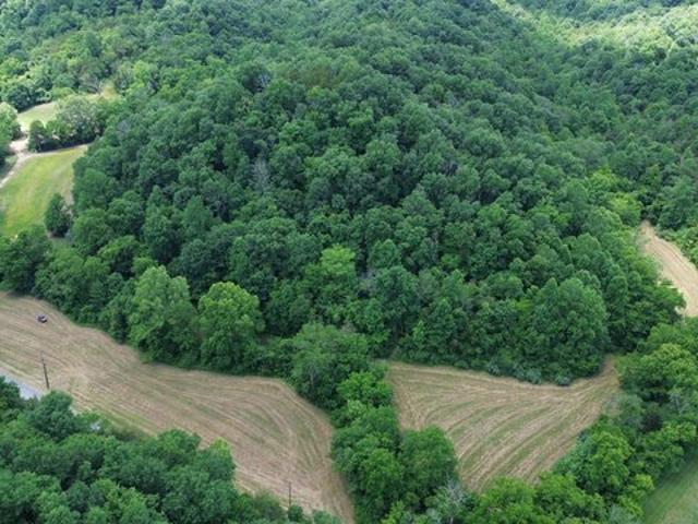 Land for sale in Burkesville, Kentucky