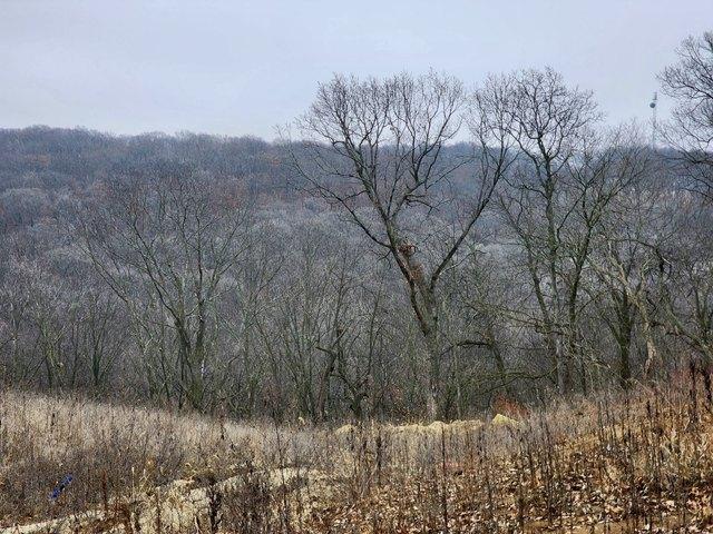 Land for sale in Winterset, Iowa